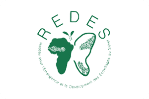 A green logo of the word redes